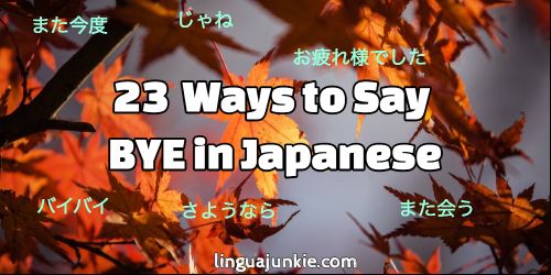 10 Ways to Say God Bye in Japanese 3