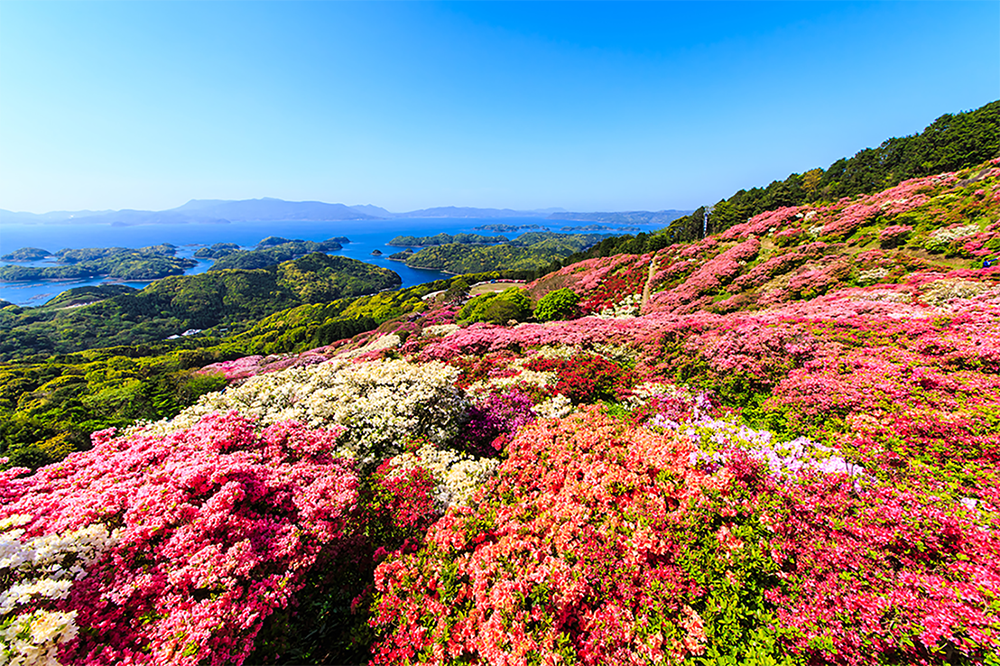 All about 5 Flower Parks to Visit in Kyushu Japan 4