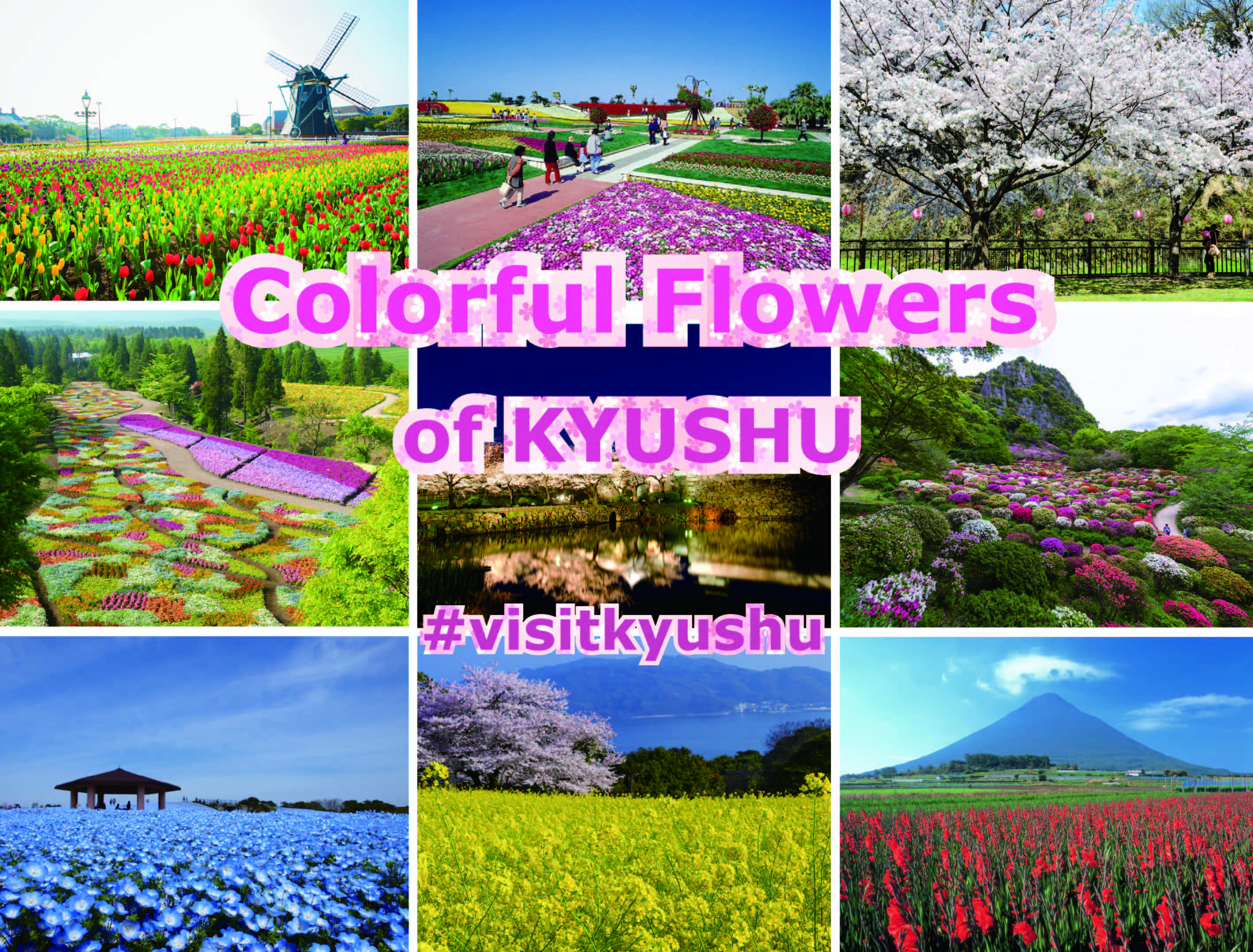 All about 5 Flower Parks to Visit in Kyushu Japan 5