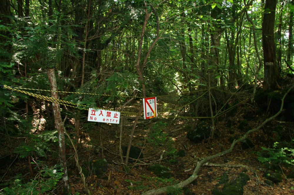 All about Aokigahara Forest – The Suicide Forest in Japan 4