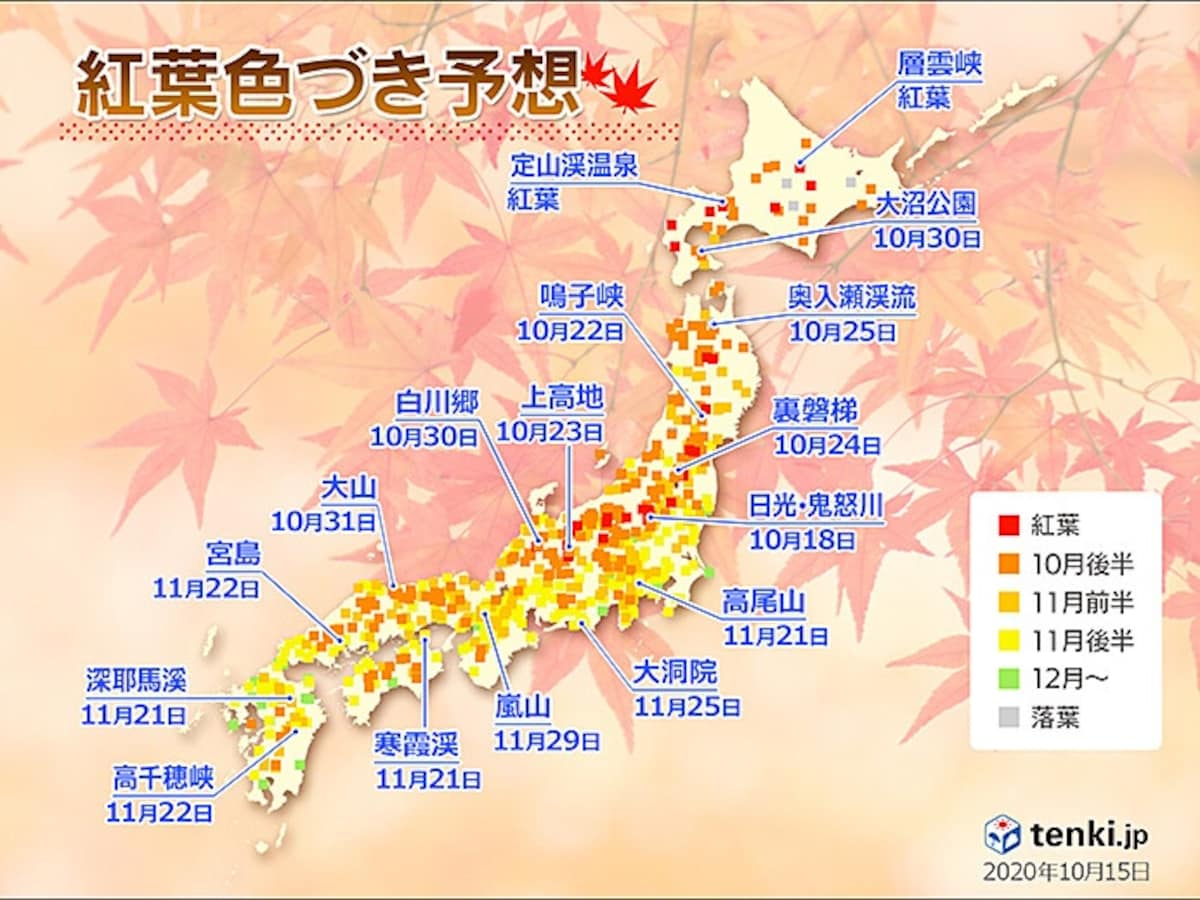 All about Autumn Leaves Forecast for 2024 in Japan