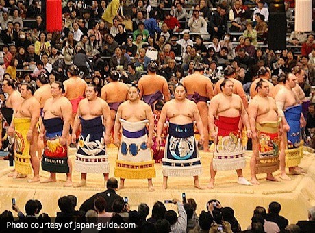 All about The Sumo’s Apprentice in Japan 4