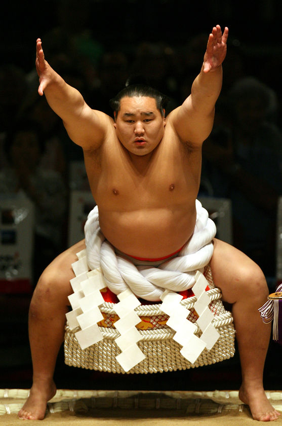 All about The Sumo’s Apprentice in Japan 5