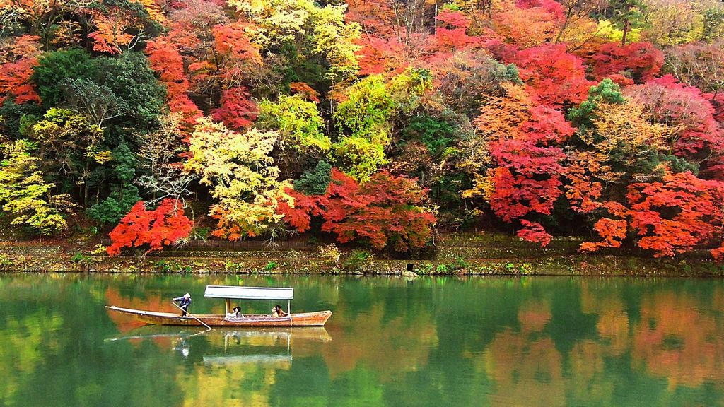 Autumn leaves in Arashiyama 嵐山 2024