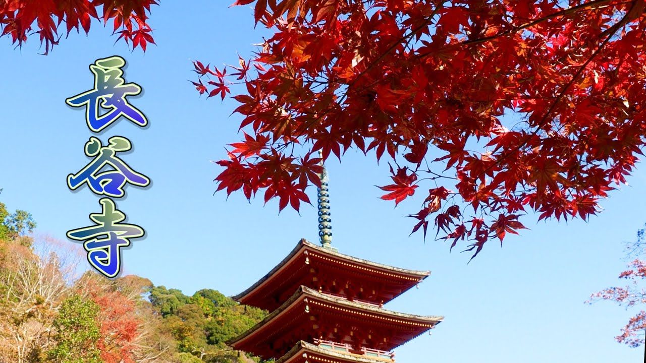 Autumn leaves in Hasedera 長谷寺 (Kanagawa) 2024 3