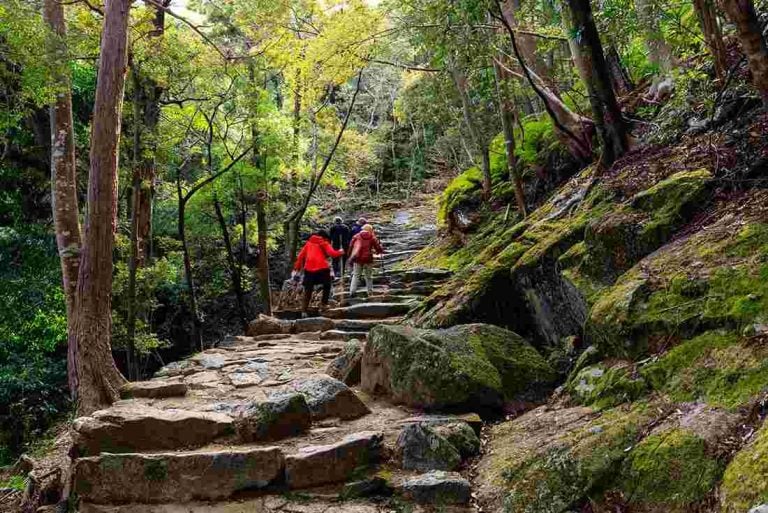 Coming with Hiking up Mt. Tsukuba in Japan 2