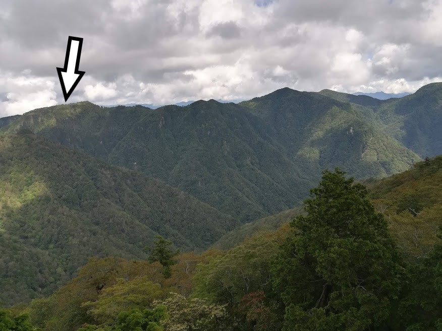Discover Practicing Shugendo on Mt. Omine in Japan