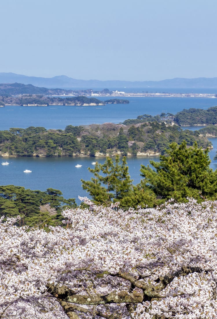 Discovering Miyagi Prefecture Top Attractions Japan