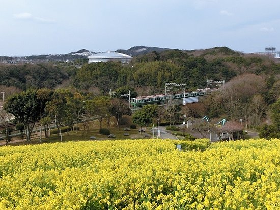 Exploring Kobe Sports Park Cosmos Festival Japan 2024 5