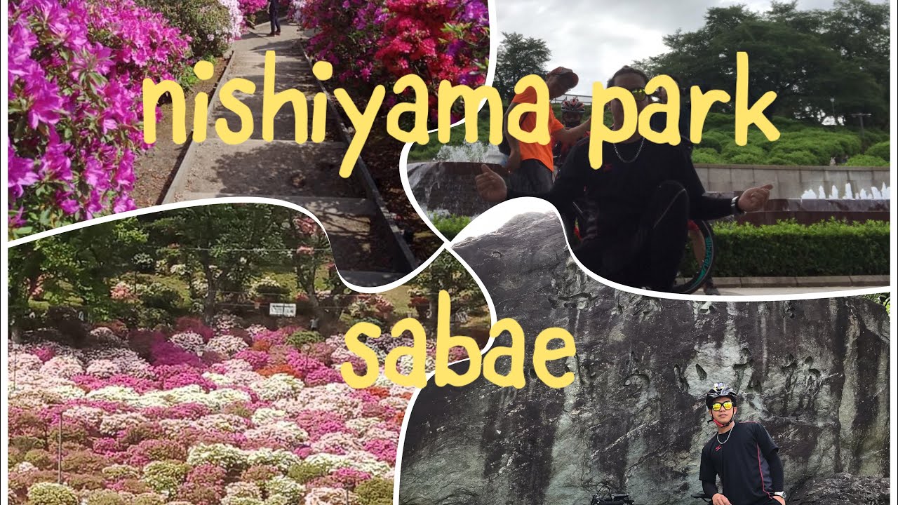 Exploring Nishiyama Park and Red Pandas in Sabae in Japan 5