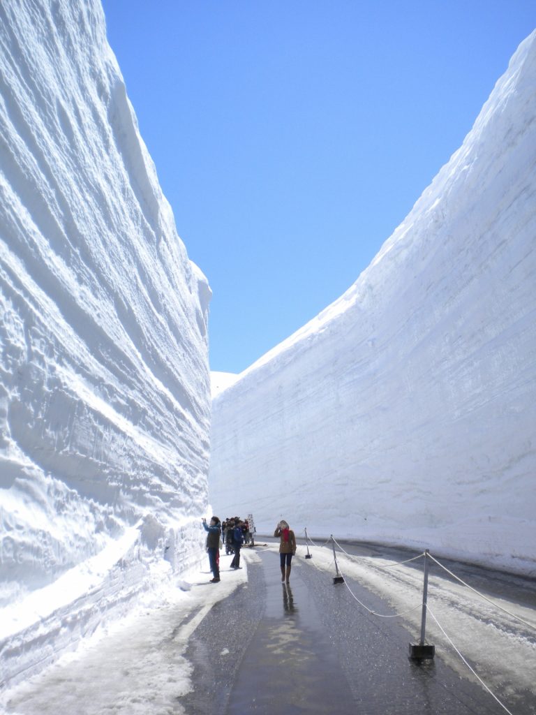 Exploring Tateyama's Snow Wall Walk in Japan 5