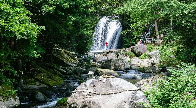 Going up Kawazu Nanadaru Seven Waterfalls Japan 2024 3