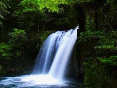 Coming with Kawazu Nanadaru Seven Waterfalls in Japan 5