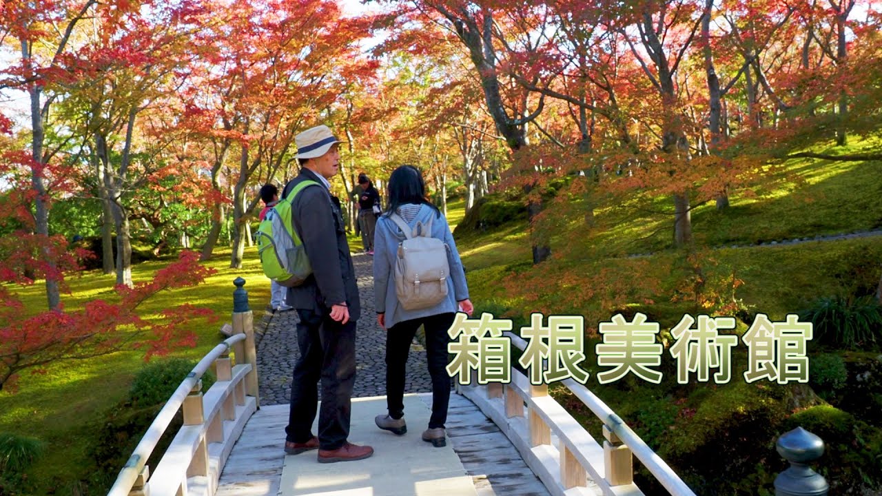 Hakone Art Museum, Hakone Museum (카나가와) 2024의 가을 잎