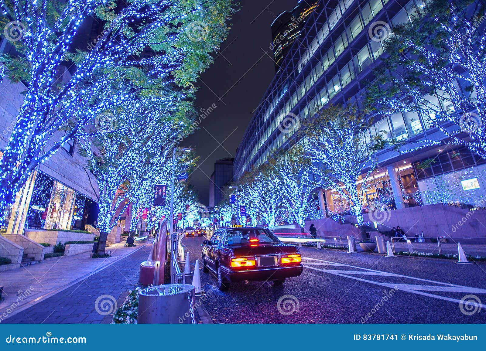 Roppongi Keyakizaka Street Illumination 六本木けやき坂 2024 3