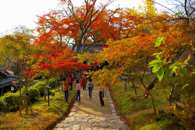 Sah die Blätter im Herbst in Kyushu Kyushu