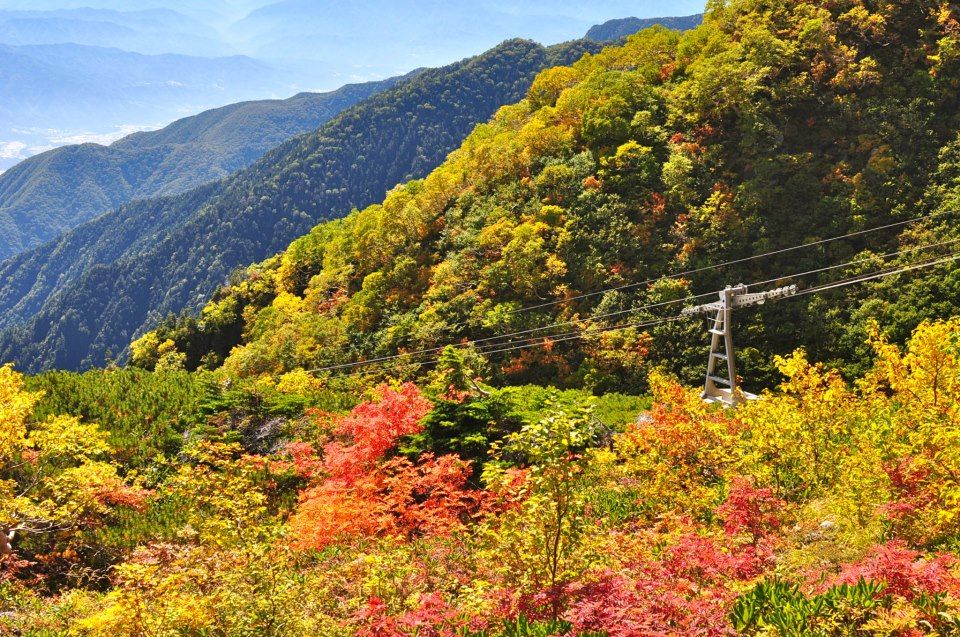 Seeing autumn leaves (紅葉) in Shikoku 四国 3