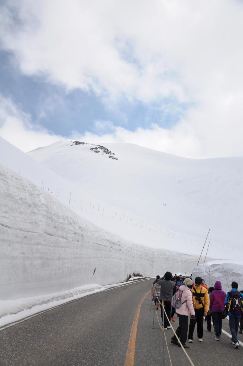 Visite Tateyama Snow Wall Walk Japan 2024.