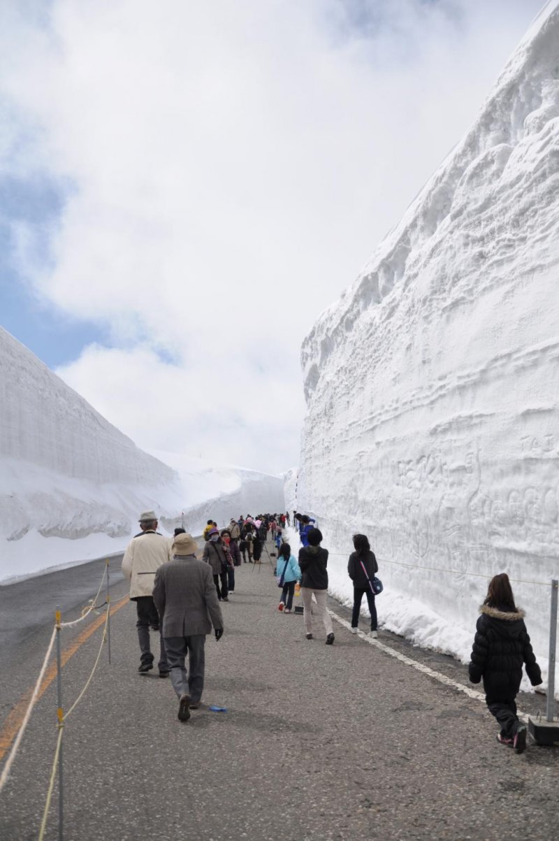 Visiting Tateyama's Snow Wall Walk Japan 2024 4