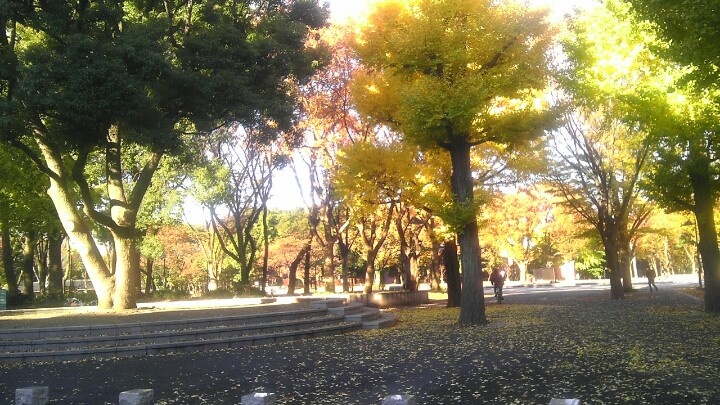 About Autumn in Ueno Park Japan 2024 2