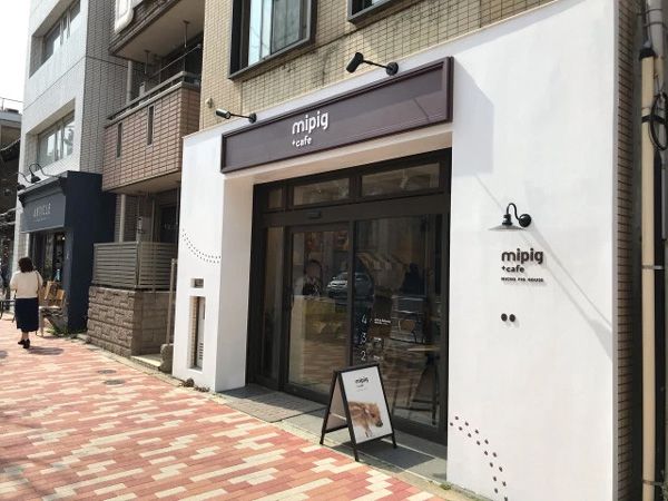 Mipig Cafe Japan 소개