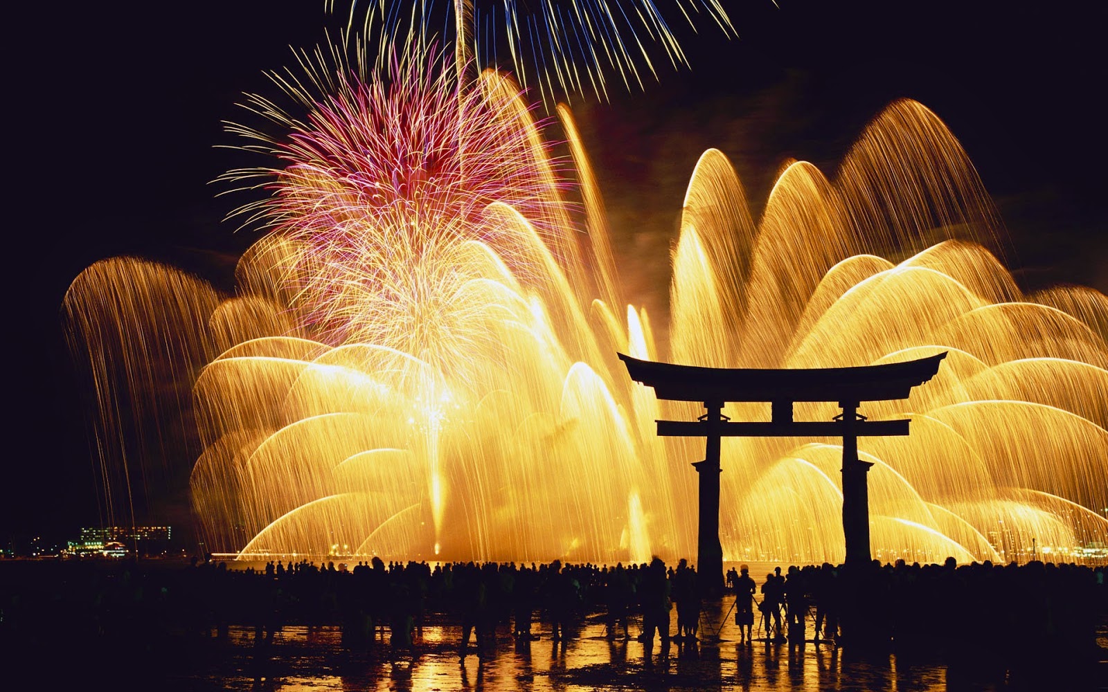 About Teganuma Fireworks in Japan 2