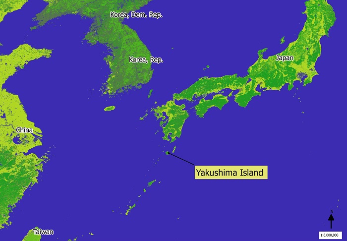 Über Yakushima Island in Japan