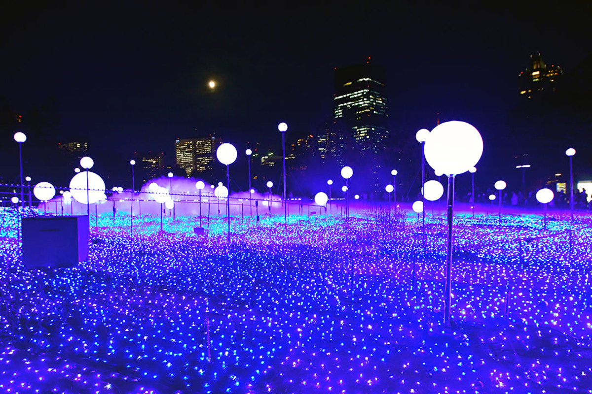 All about Tokyo Midtown Starlight Garden in Japan 5
