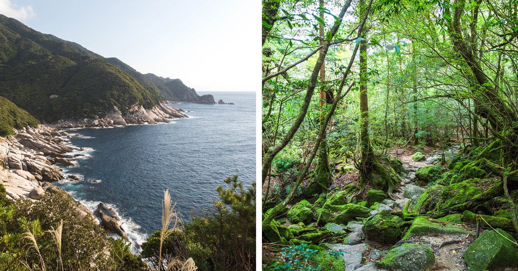 All about Yakushima Island in Japan 2