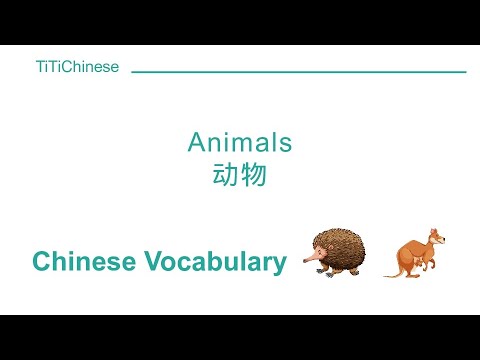 Animals in Chinese — Vocabulary for your furry friends 3