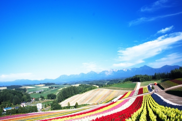 Coming with 5 Flower Parks to Visit in Kyushu Japan