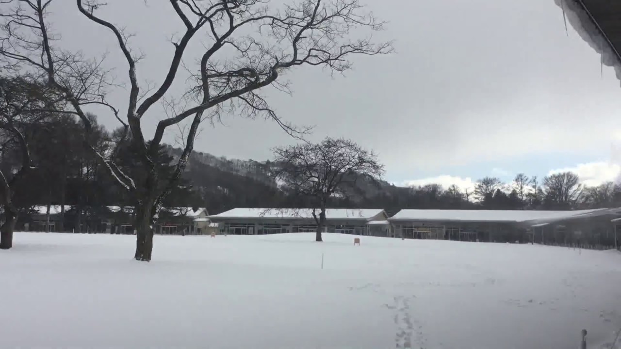 Coming with Karuizawa Winter Festival Japan 2024 2