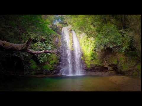 Komm mit Tadake Falls in Japan