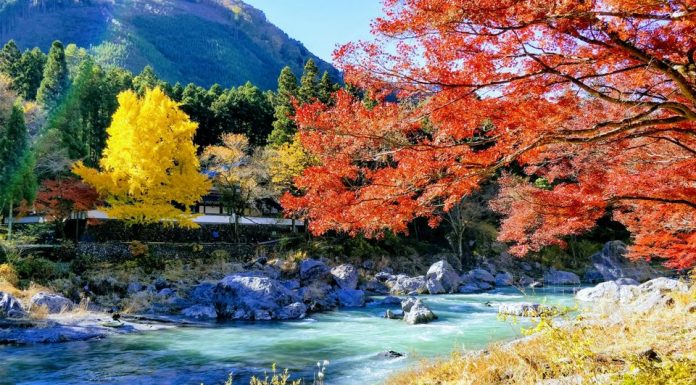 Entdecken Sie die Mount Mitake & Mount Odake Day Wanderung Japan