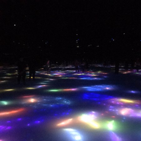 Discover TeamLab Planets: Garden Area in Japan 4