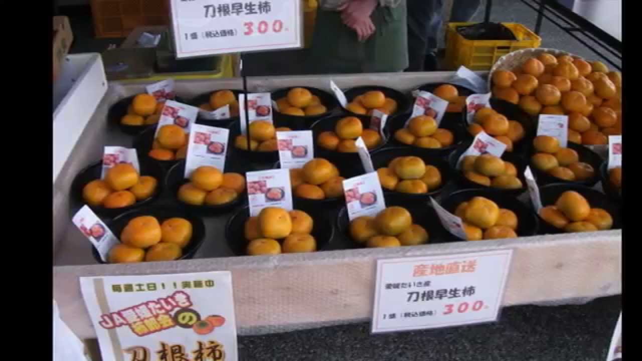 De ontdekking van persimmon in Katsuragi Japan 2024