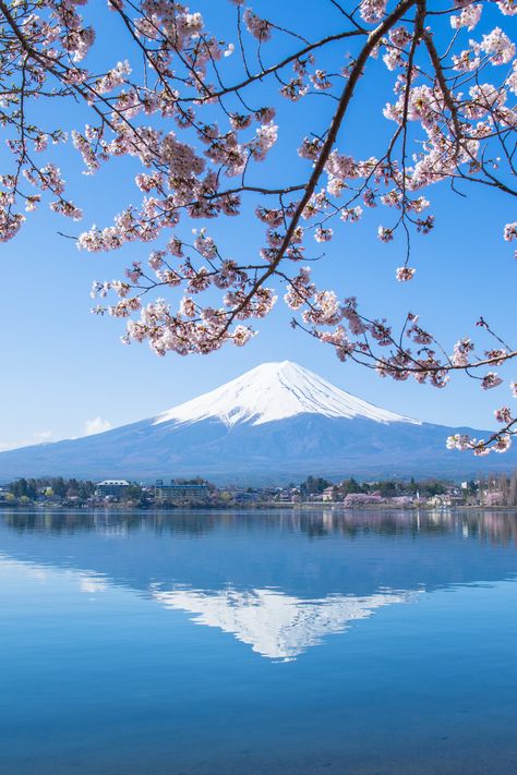 Ashi Lake Japanからの富士の景色2024