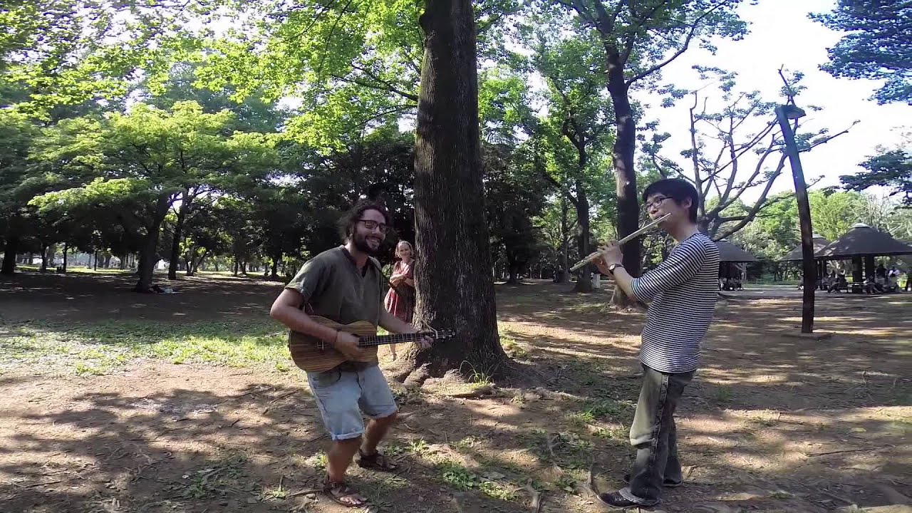 Gehen Sie hoch, um den Yoyogi Park in Japan zu unterhalten.