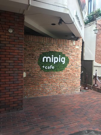Going up Mipig Cafe in Japan 5