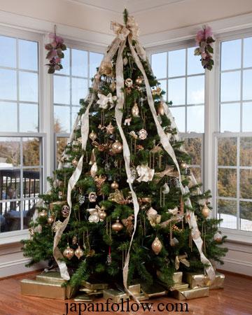 7 Proven Tips and Tricks to Make a Christmas Tree Last Longer