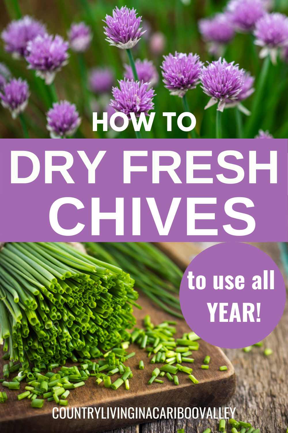 How to dry chives for your spice rack 3