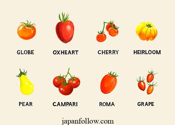 Types of Tomatoes and Their Classifications