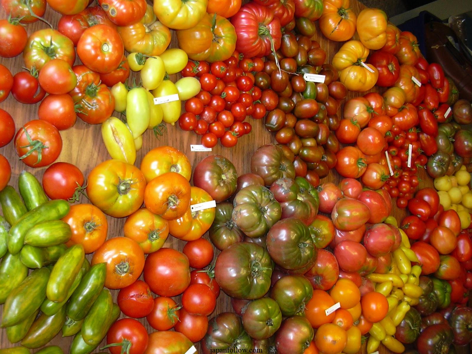 Types of Tomatoes and Their Classifications 3