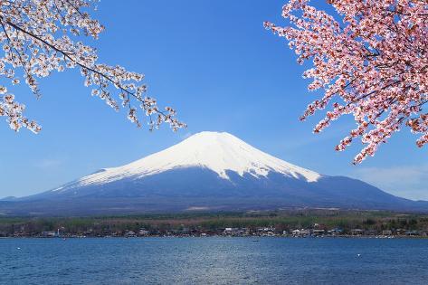 Visiting Lake Yamanaka Diamond Fuji Weeks Japan 2024 3