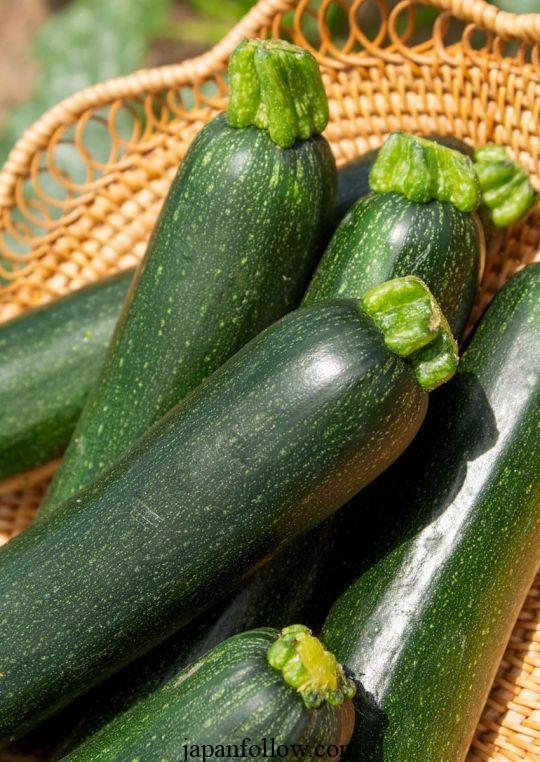 When to pick zucchini for the best flavor and quality