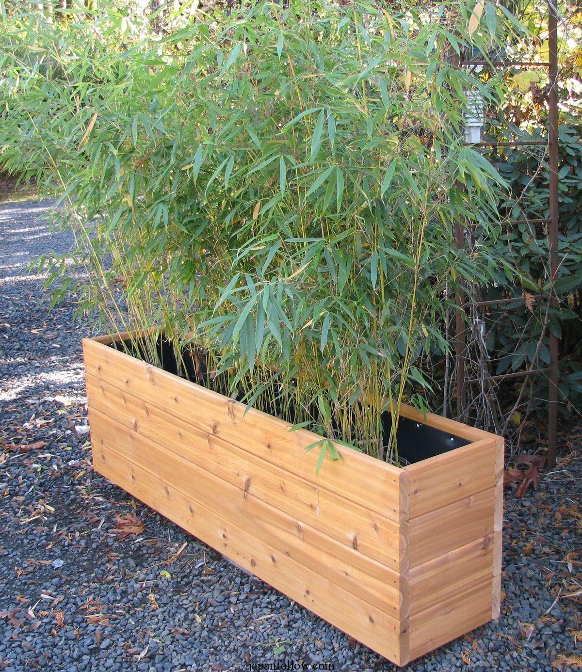 Bamboo plant supports for gardens and raised beds 3