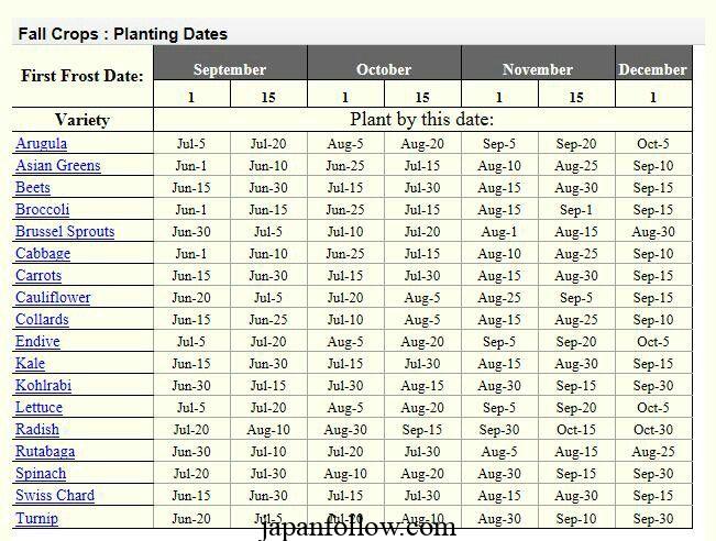 Find First and Last Frost Dates Accurately with This Custom Planting Calendar