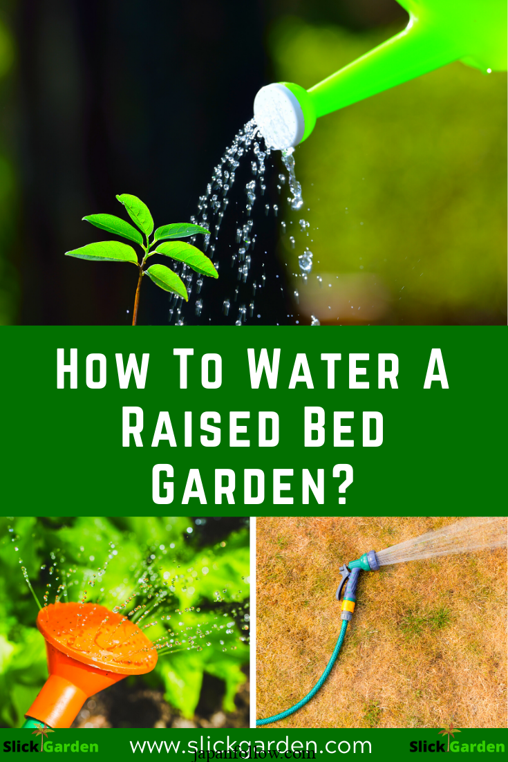 How often should I water my garden? 2